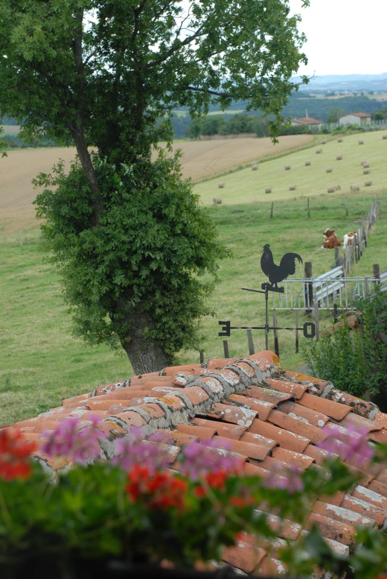 Chez Jacotte Et Elia Bed & Breakfast Saint-Galmier Exterior photo