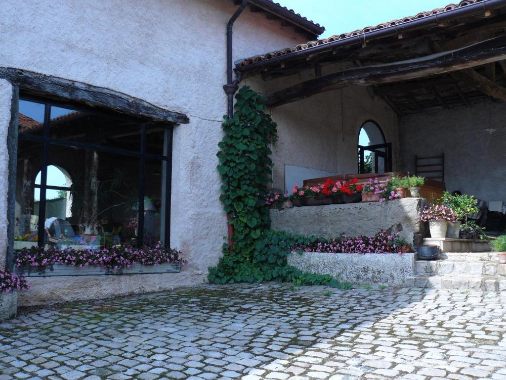 Chez Jacotte Et Elia Bed & Breakfast Saint-Galmier Exterior photo
